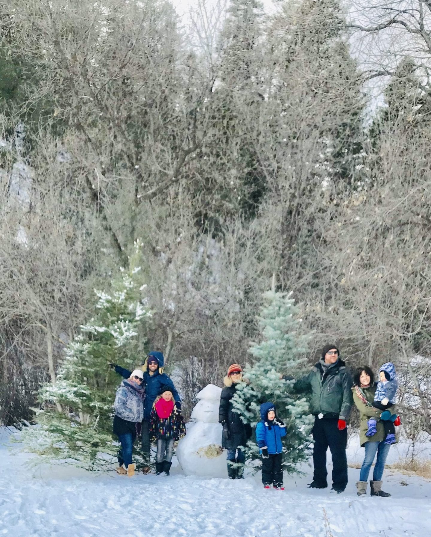 French & French Interiors Heather French and family in Pecos New Mexico getting their Christmas tree in the forest